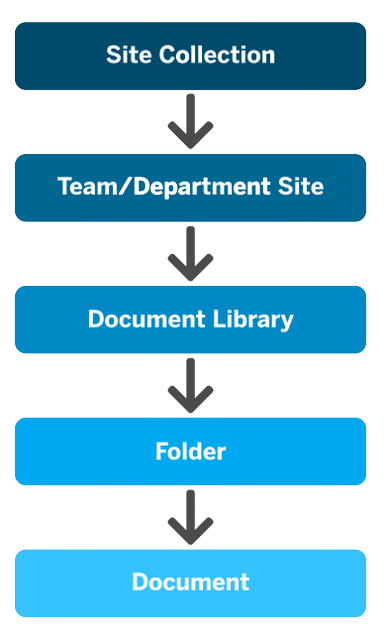 DocumentManagementinfographicremovebgpreview TECI Sharepoint Document Management